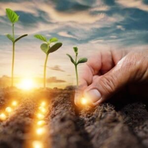 Estudios de Contaminación de Suelos y Gestión de Residuos